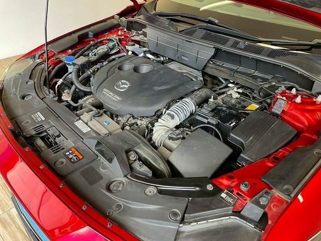 24802581_carP_l_20.jpg