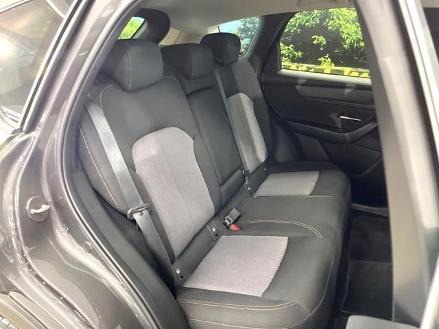 26794042_carP_l_19.jpg