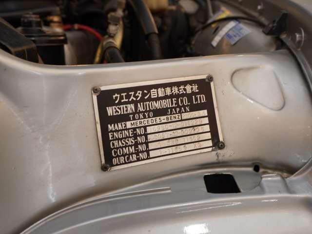 17387601_carP_l_19.jpg