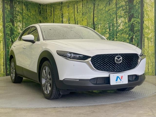 26126243_carP_l_11.jpg