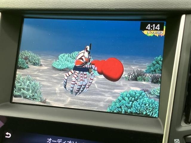 25542446_carP_l_6.jpg