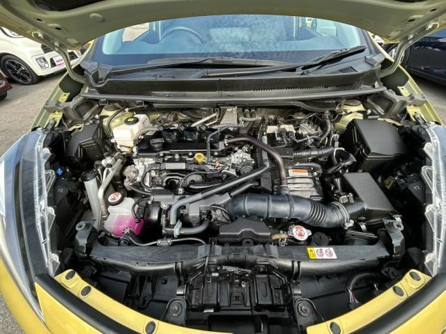 25752862_carP_l_17.jpg