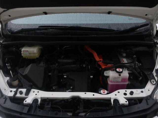 25184080_carP_l_17.jpg