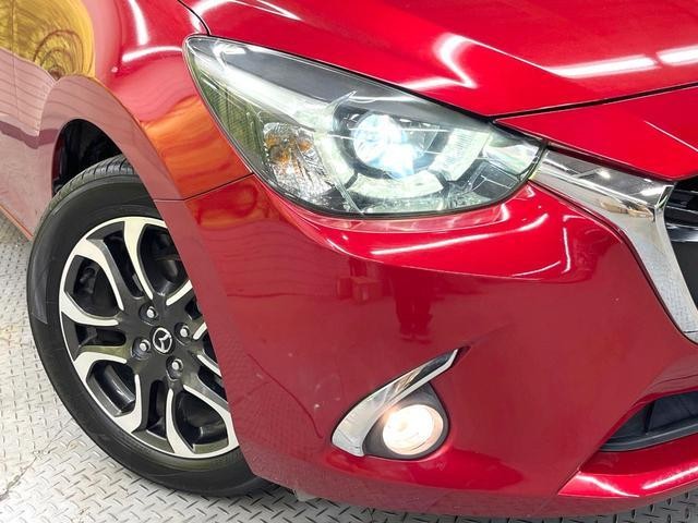 26988764_carP_l_6.jpg