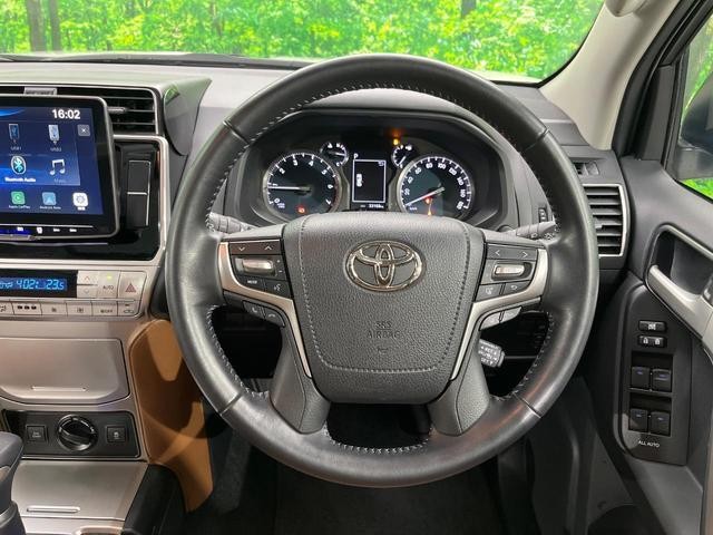 24849497_carP_l_5.jpg