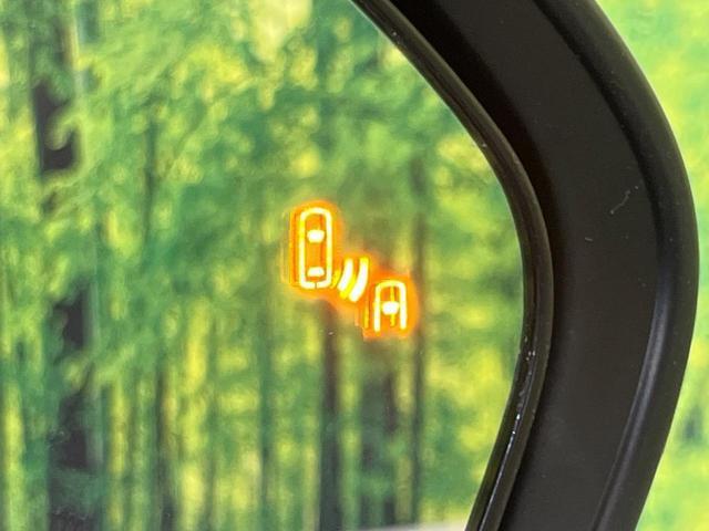 24300106_carP_l_14.jpg