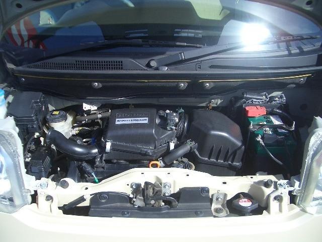 23491983_carP_l_19.jpg
