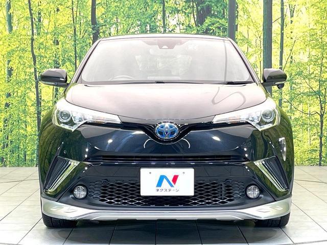 24746679_carP_l_8.jpg