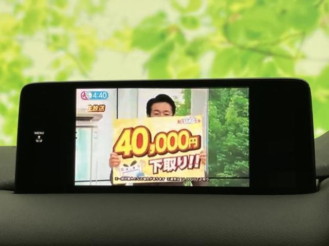 23238647_carP_l_7.jpg