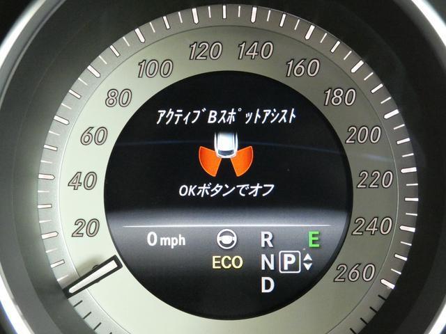 24806950_carP_l_11.jpg