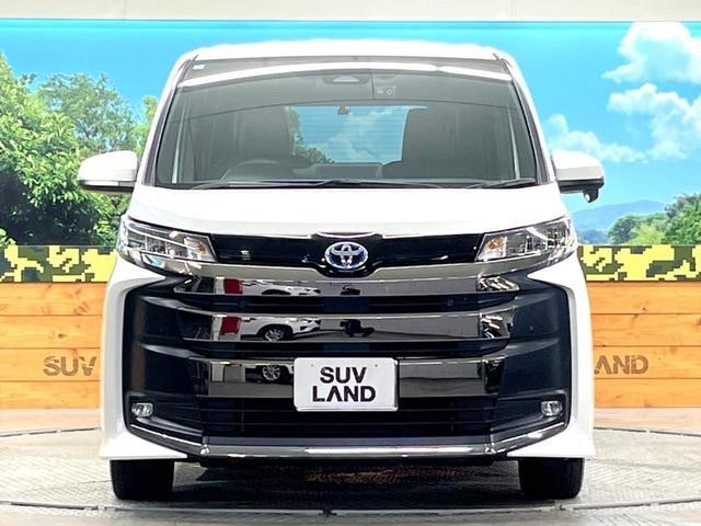 26491316_carP_l_8.jpg