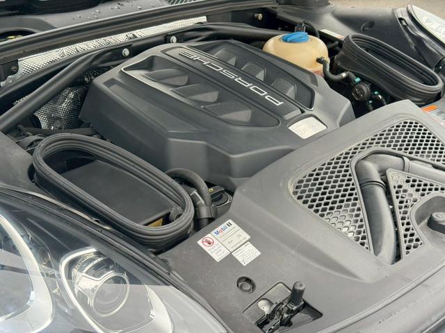 0207483A30260503W00116.jpg