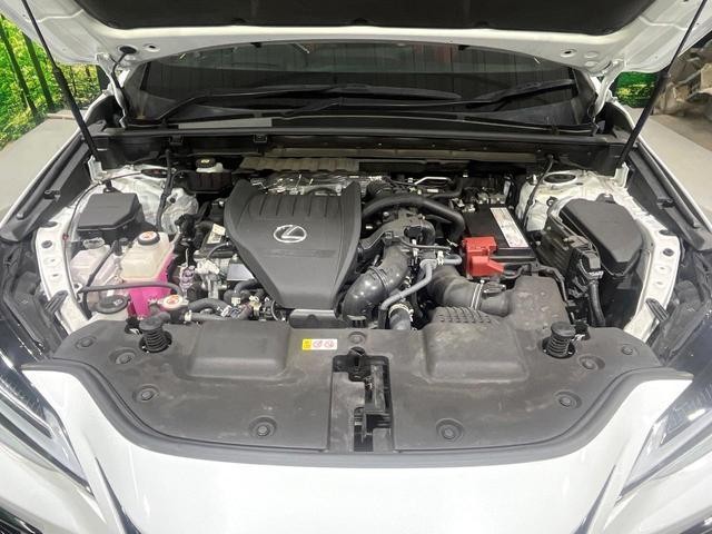 26925010_carP_l_16.jpg