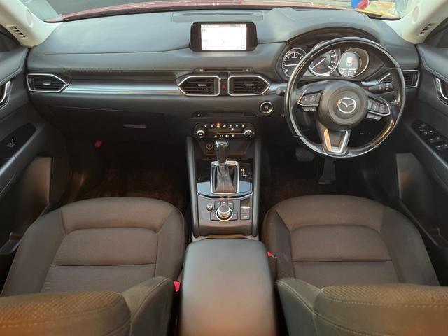 25653008_carP_l_3.jpg