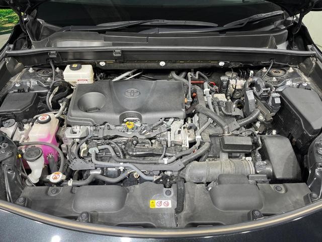 25303717_carP_l_16.jpg
