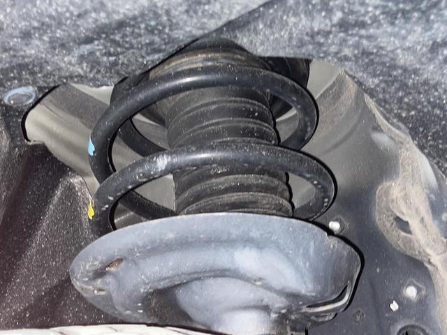 25303717_carP_l_20.jpg