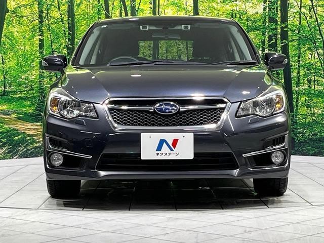 25571903_carP_l_8.jpg