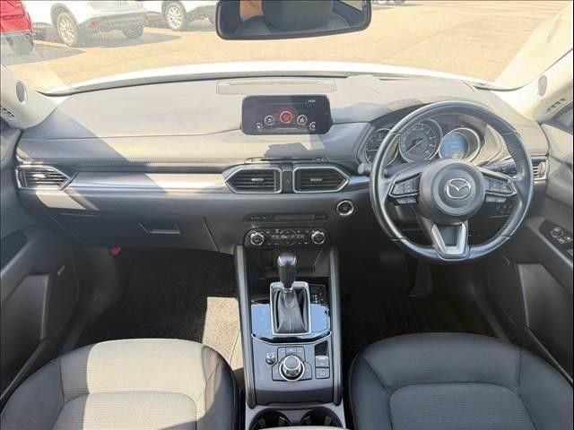 25708995_carP_l_3.jpg