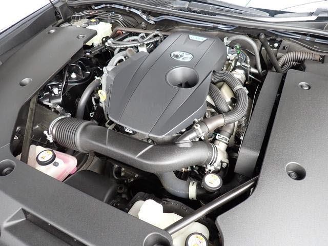 25225982_carP_l_19.jpg