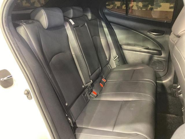 26861151_carP_l_2.jpg