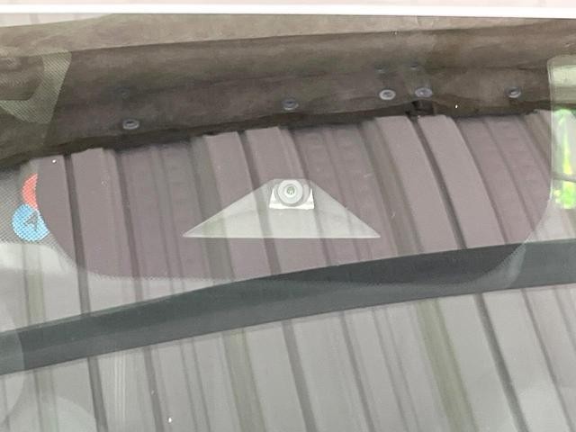 25179338_carP_l_4.jpg