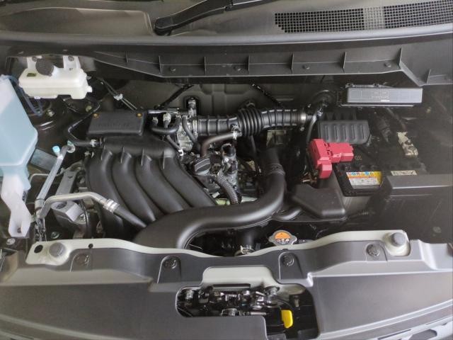 23516978_carP_l_17.jpg