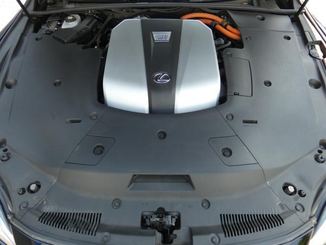 24541380_carP_l_20.jpg