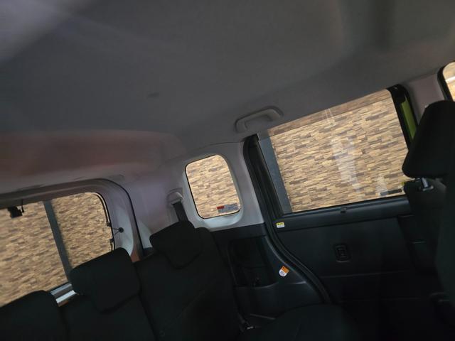 24320899_carP_l_5.jpg