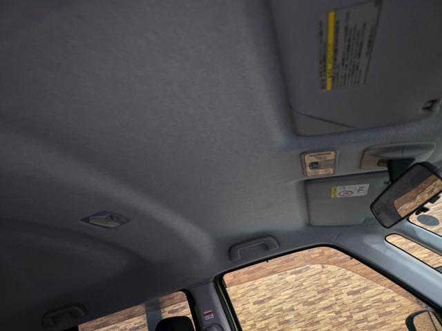 24320899_carP_l_6.jpg