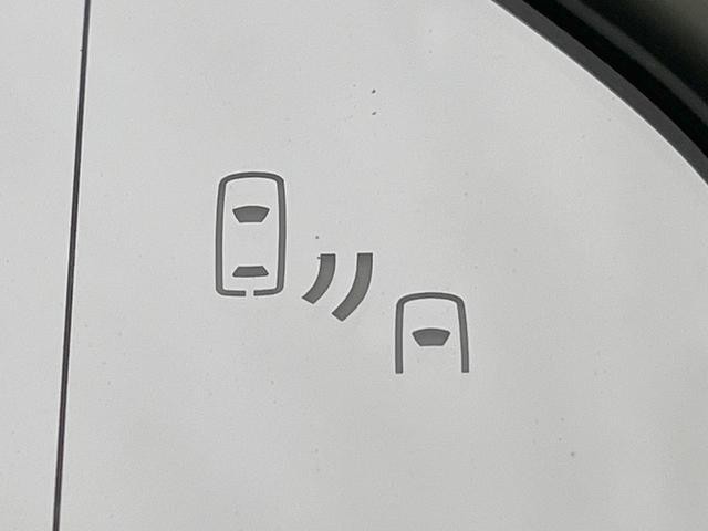25158069_carP_l_14.jpg