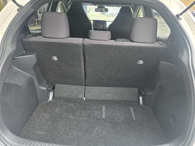24320954_carP_l_6.jpg