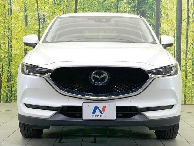 26314365_carP_l_8.jpg