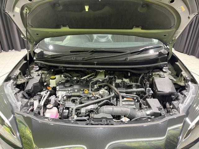26084705_carP_l_12.jpg