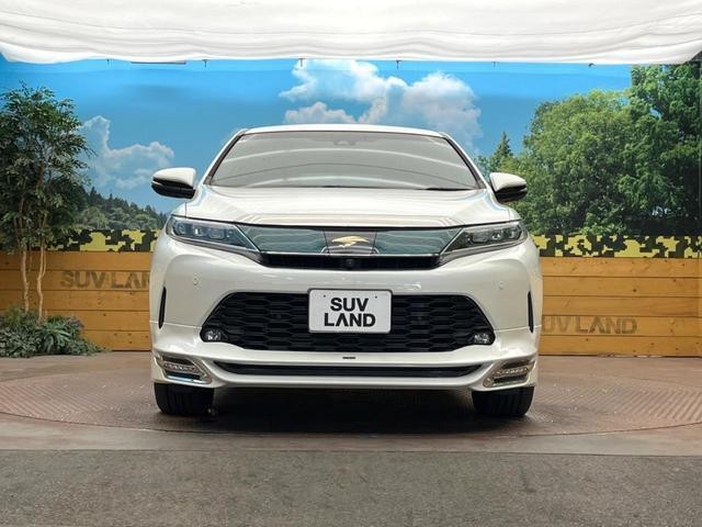 26468479_carP_l_8.jpg