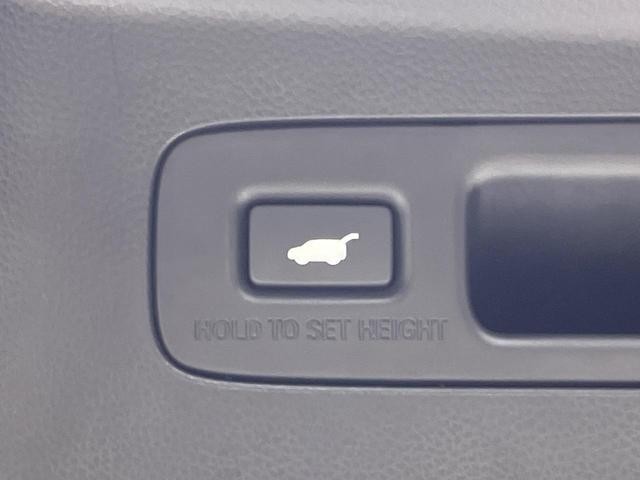 26189233_carP_l_13.jpg