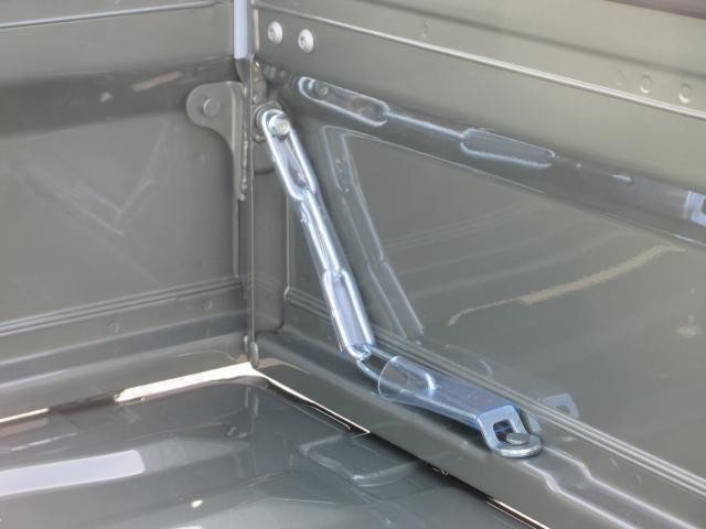 25251704_carP_l_9.jpg
