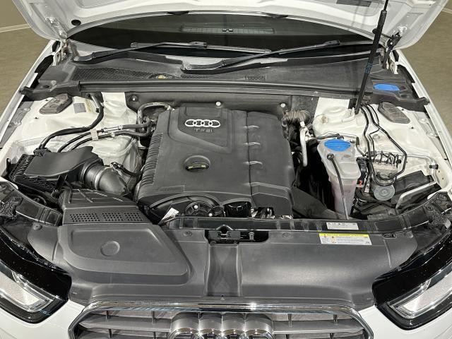 25053999_carP_l_17.jpg