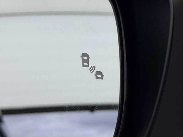 26085277_carP_l_2.jpg