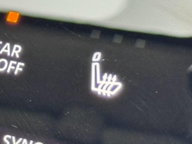 26085278_carP_l_7.jpg