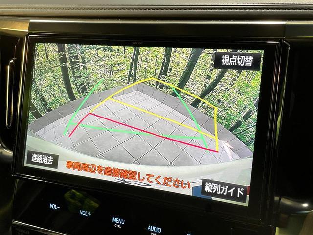 21910009_carP_l_4.jpg