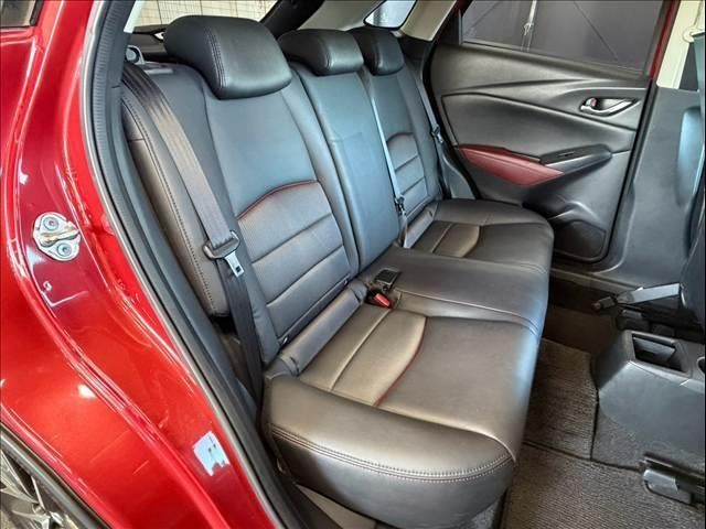 25708975_carP_l_6.jpg