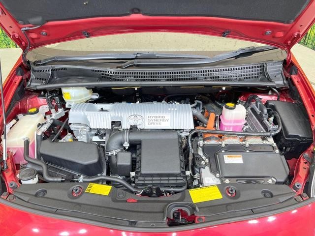 26688535_carP_l_16.jpg