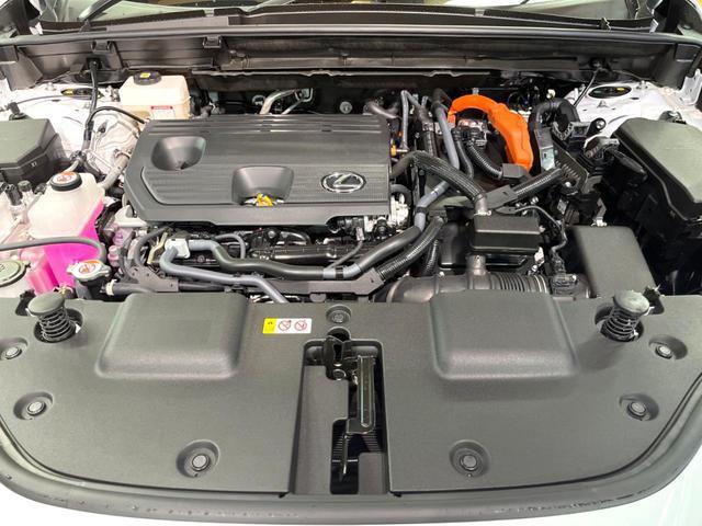 24581633_carP_l_12.jpg