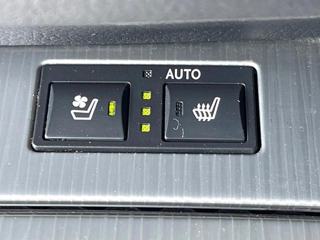 24973920_carP_l_13.jpg