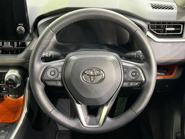 24582090_carP_l_5.jpg