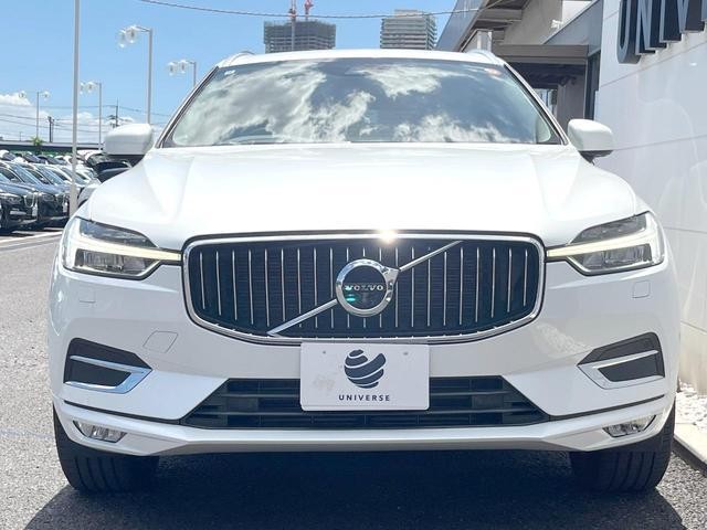 25714180_carP_l_9.jpg