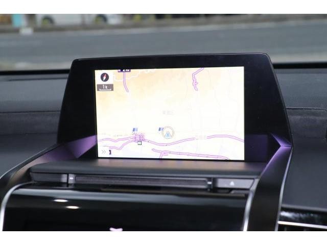 26298529_carP_l_5.jpg