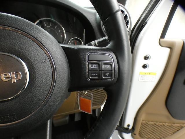 25591296_carP_l_9.jpg