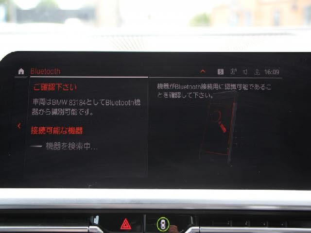 25516948_carP_l_17.jpg