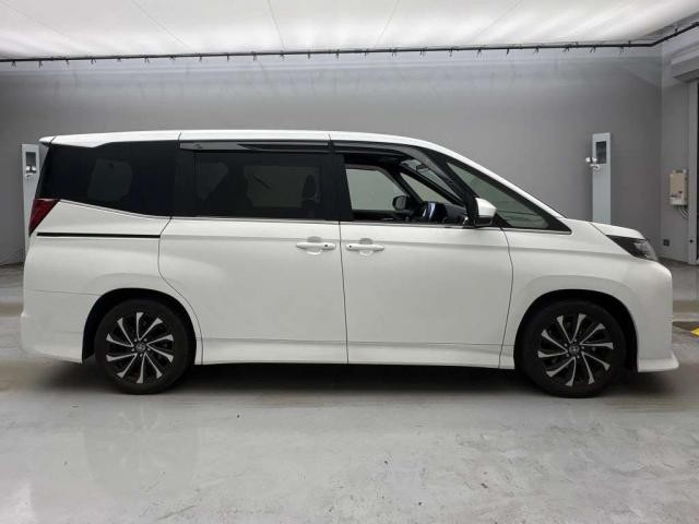25755007_carP_l_6.jpg